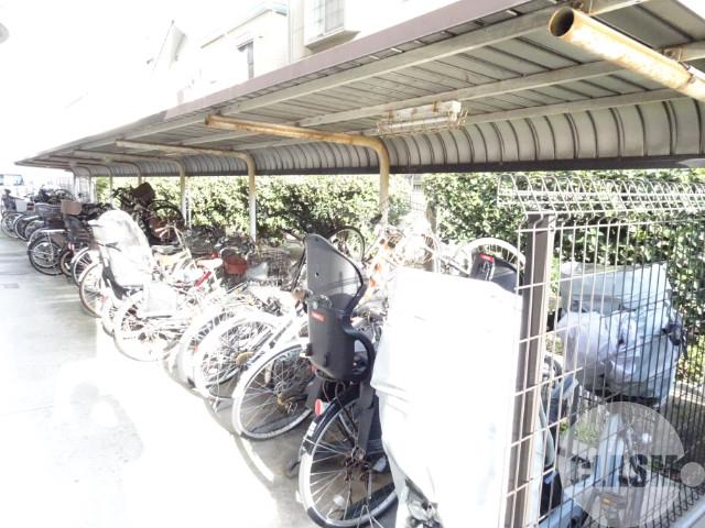 20/30 その他画像