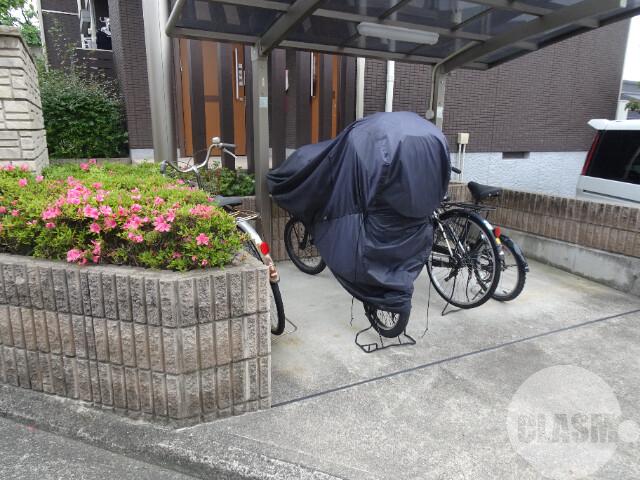 20/30 その他画像