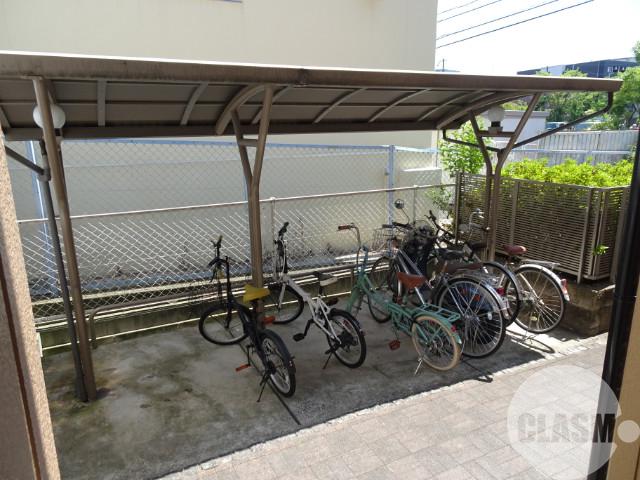 3/16 その他画像