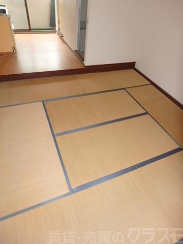 15/19 その他画像