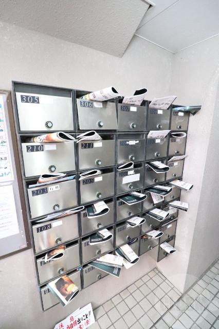 20/30 その他画像