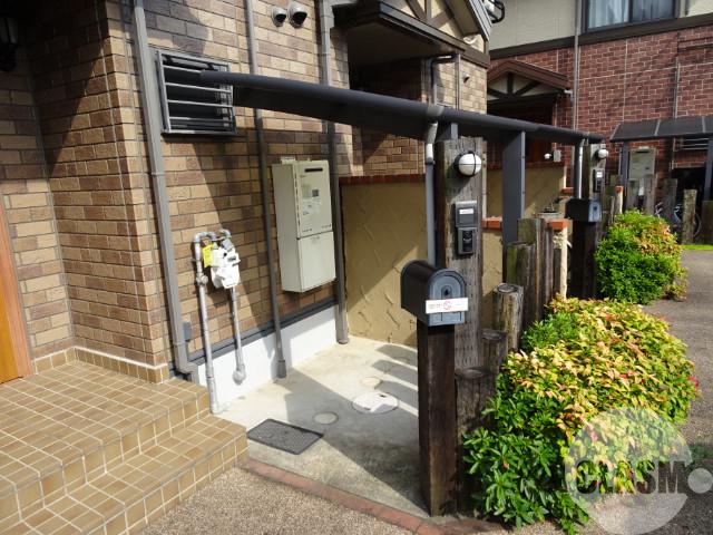 20/30 その他画像