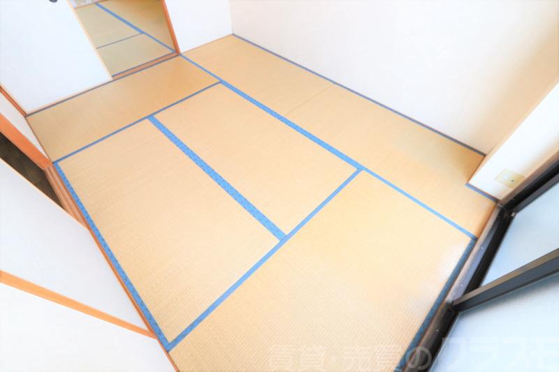 17/24 その他画像