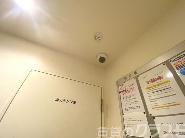 5/11 その他画像