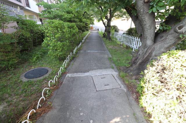 7/17 その他画像