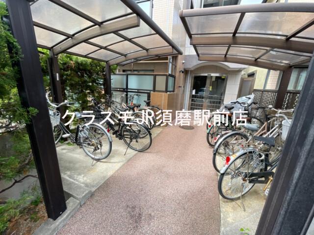 5/17 その他画像