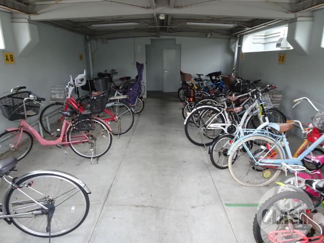 20/30 その他画像