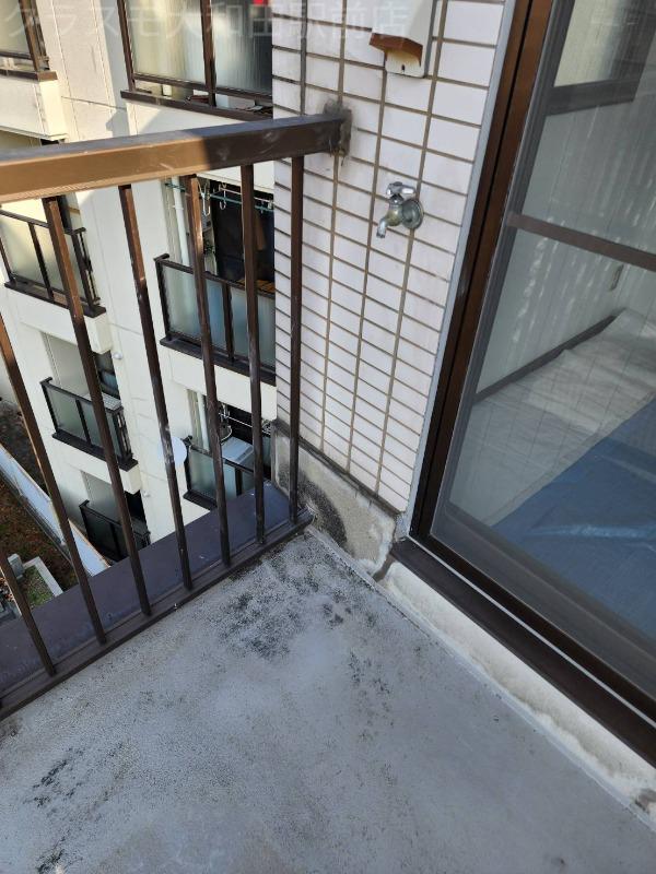 19/25 その他画像