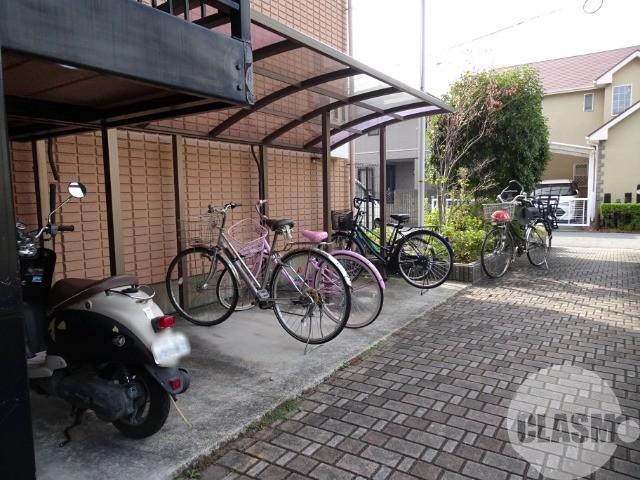 20/30 その他画像