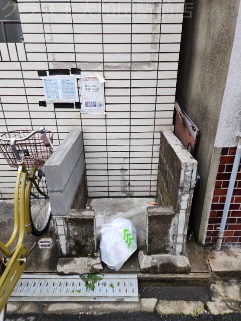 6/11 その他画像