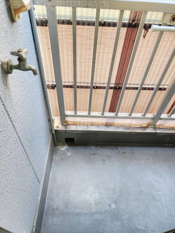 17/26 その他画像