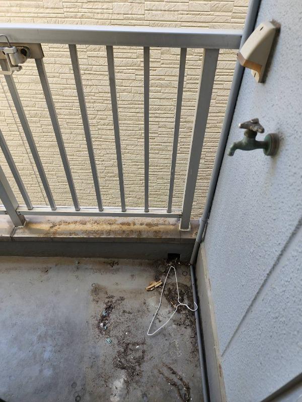 15/24 その他画像