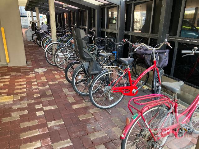 19/25 その他画像