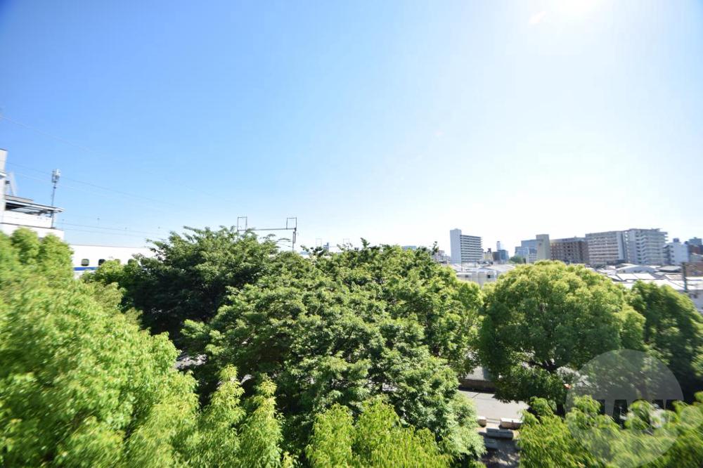 15/30 その他画像