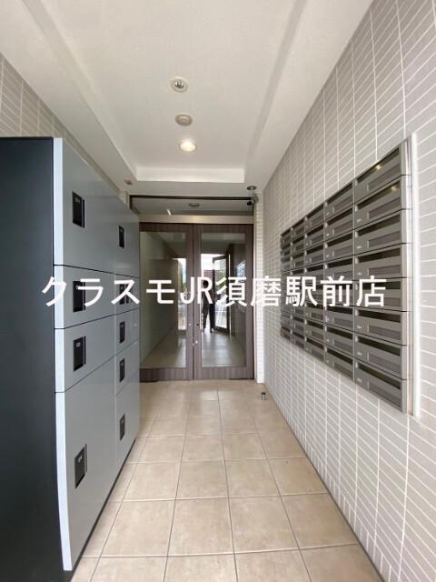 20/30 その他画像