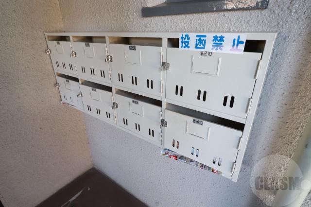 20/30 その他画像