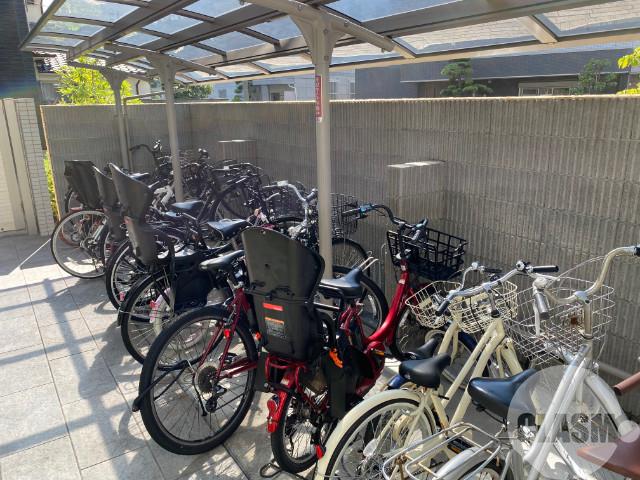 17/29 その他画像