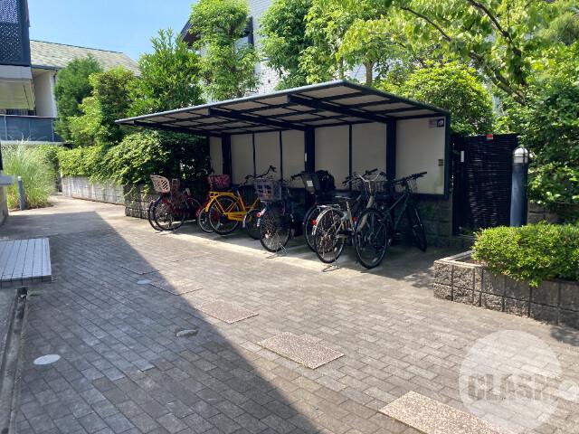 3/16 その他画像