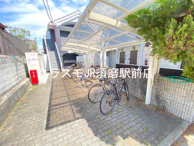 3/19 その他画像