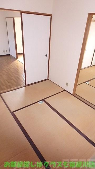 17/21 その他画像