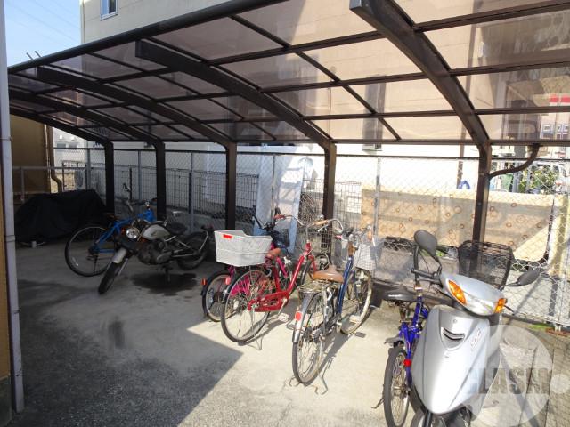 20/30 その他画像