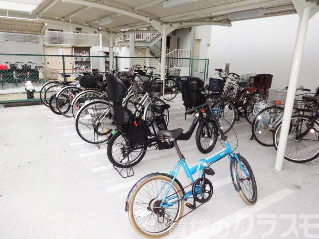 15/25 その他画像