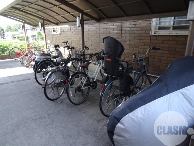 20/30 その他画像