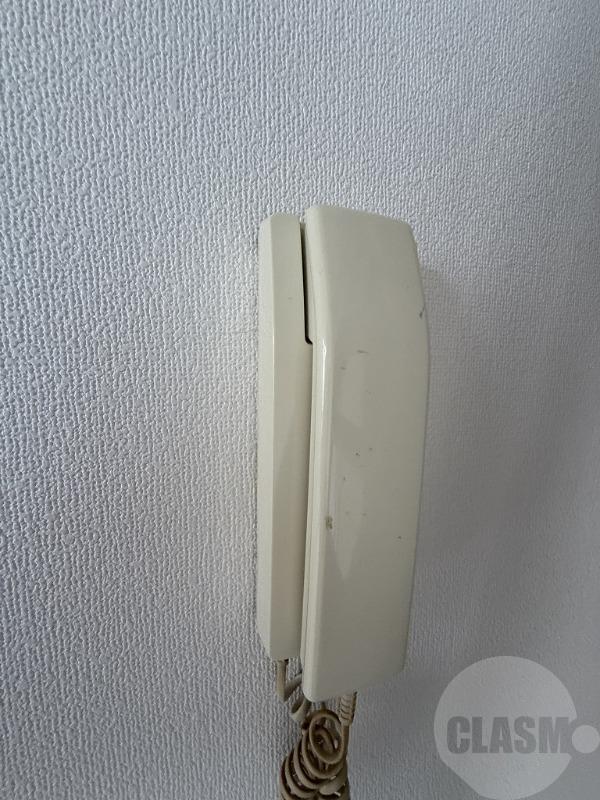 15/30 その他画像