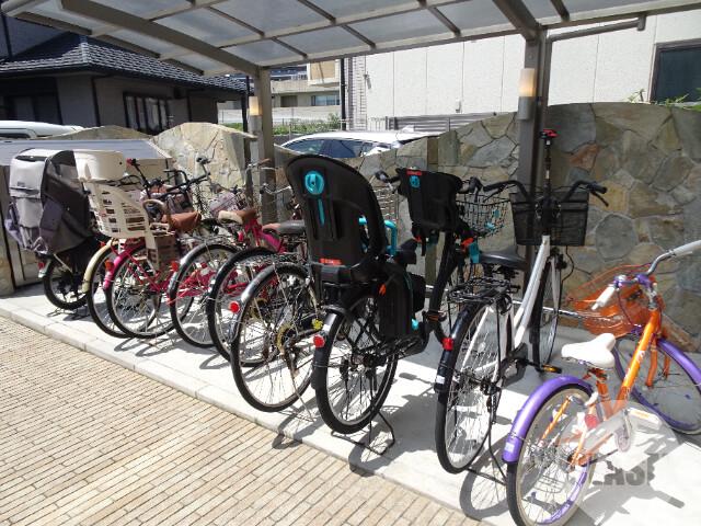 5/18 その他画像