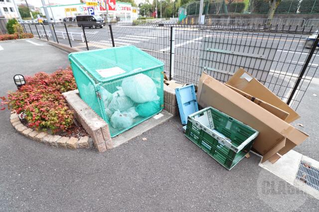 20/30 その他画像