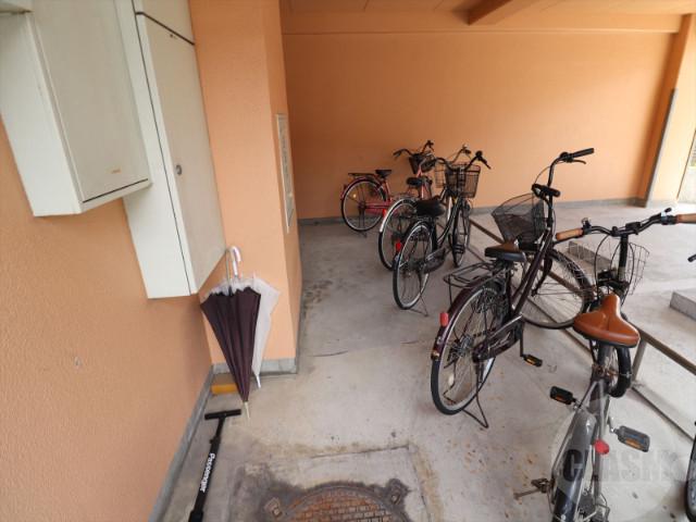 20/30 その他画像