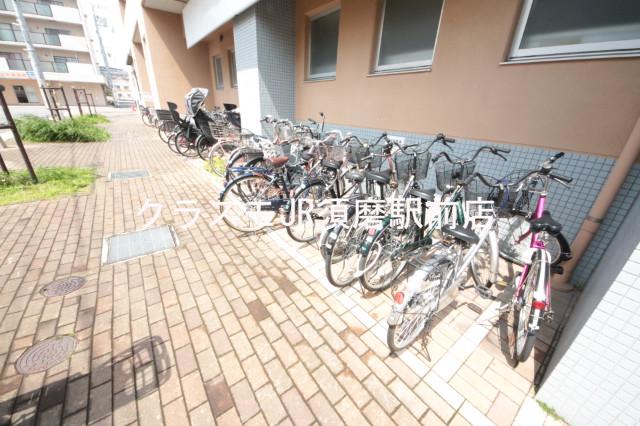 8/18 その他画像