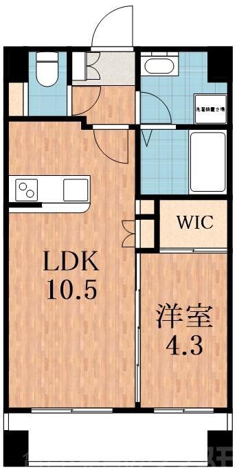 松崎町の完工年月(2013年1月)築の賃貸マンションの間取り
