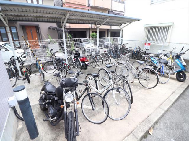 20/30 その他画像