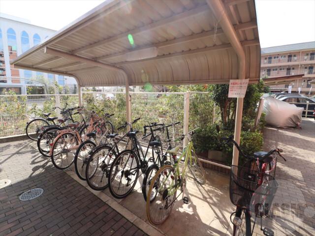 20/30 その他画像