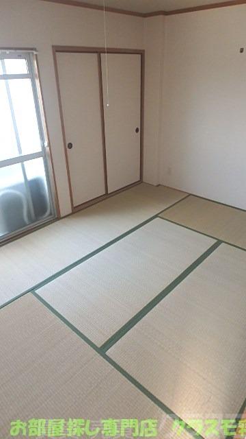 13/17 その他画像