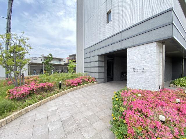 15/25 その他画像