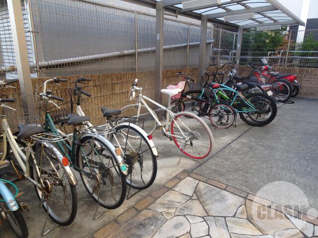 17/29 その他画像