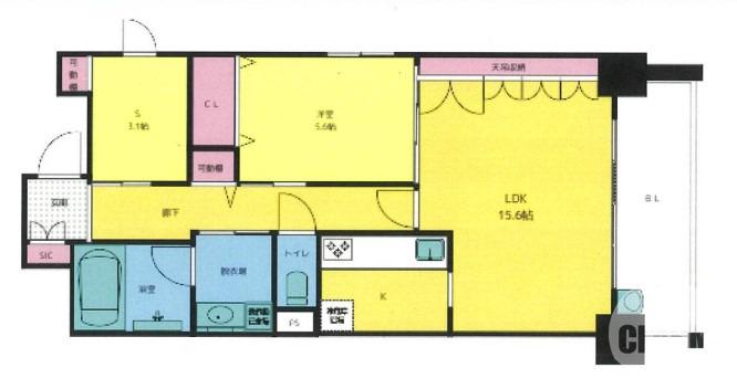 大浜北町の完工年月(2020年10月)築の賃貸マンションの間取り