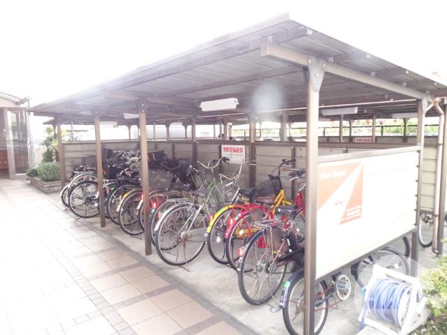 20/30 その他画像