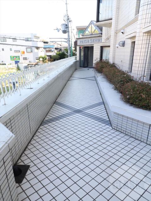 20/30 その他画像