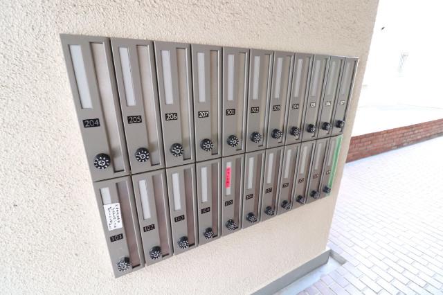 15/25 その他画像