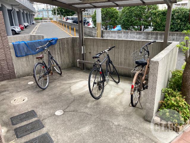 20/30 その他画像