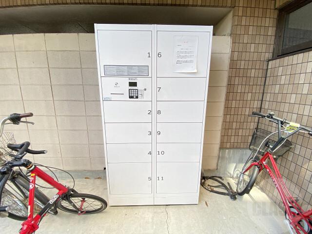 20/30 その他画像