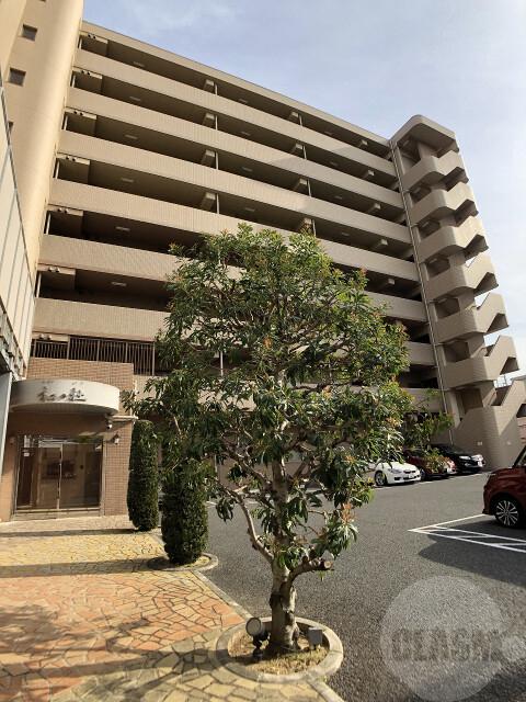 2/24 外観