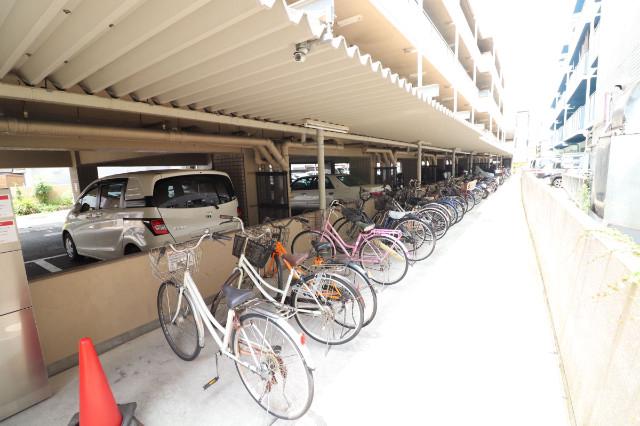 11/23 その他画像