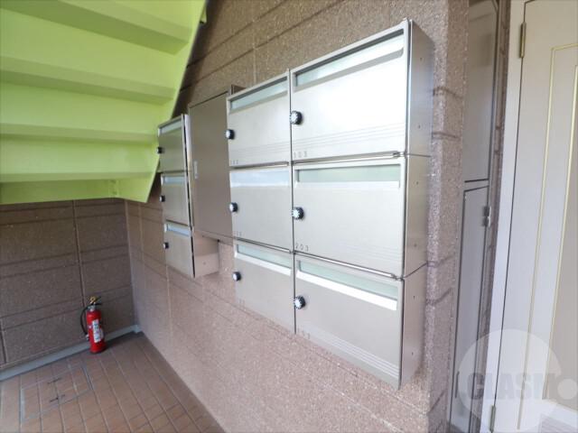 20/30 その他画像