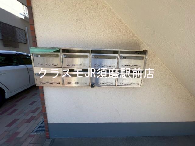 20/30 その他画像