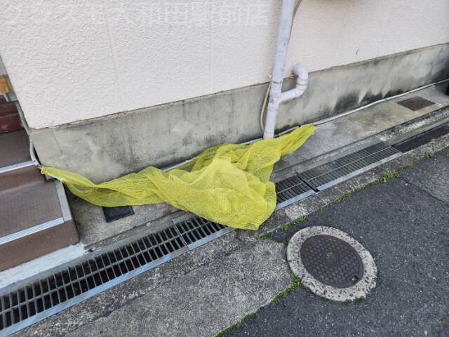 20/25 その他画像