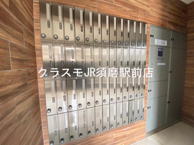 20/30 その他画像